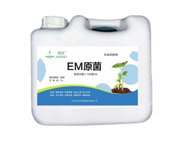 EM菌枯草芽孢菌